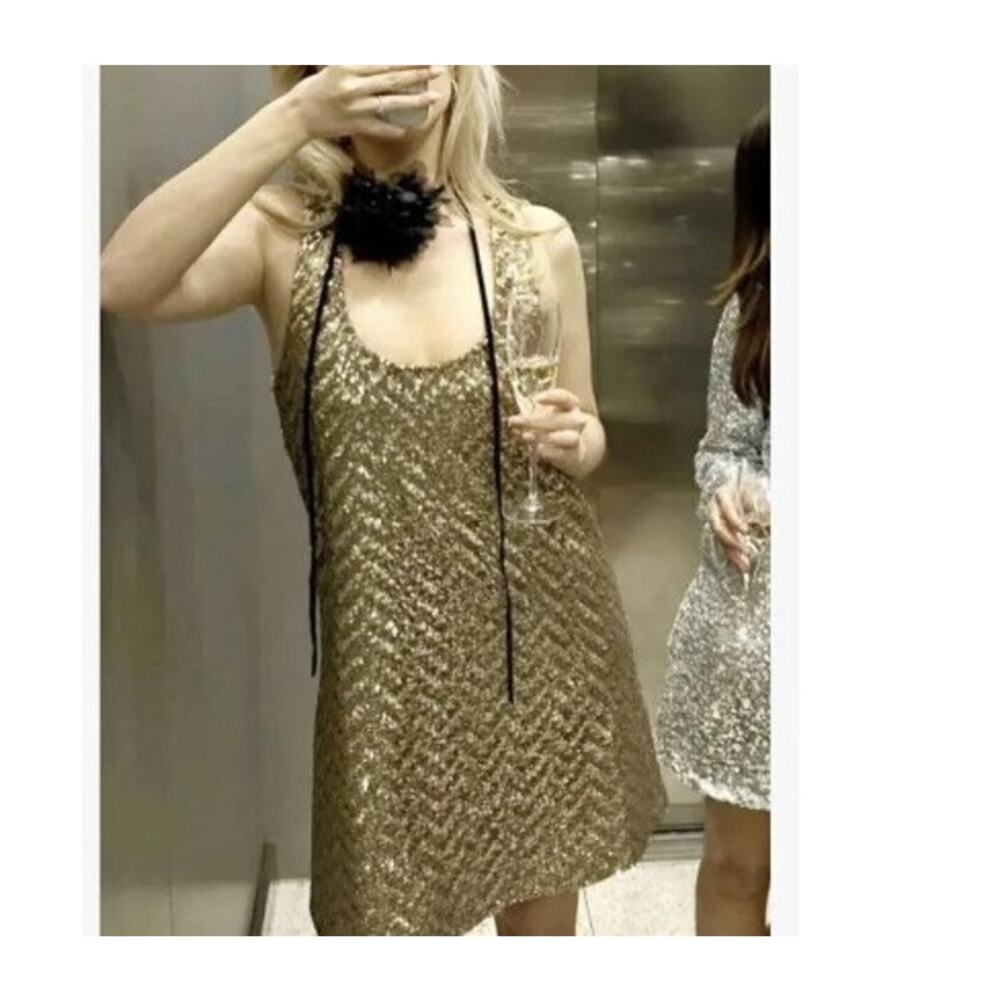 Zara Gold Sequin Sleeveless A-Line Mini Dress Scoopneck Sleeveless Size Small - Picture 3 of 10